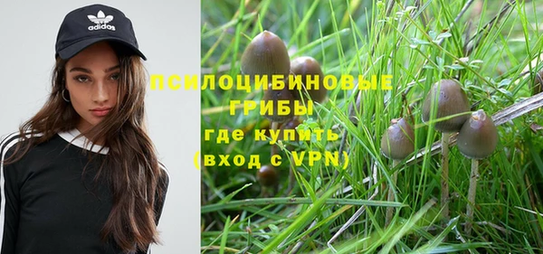 mdma Новозыбков