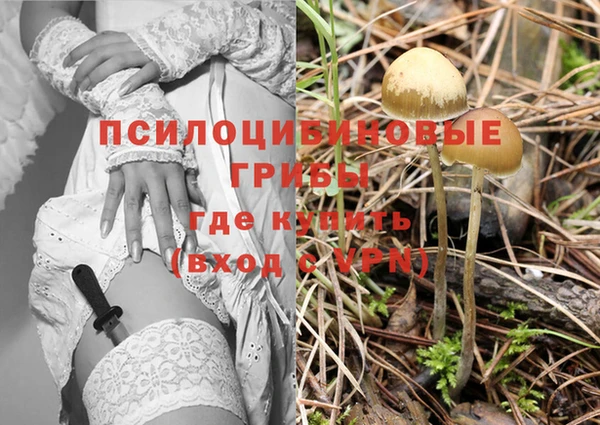 mdma Новозыбков