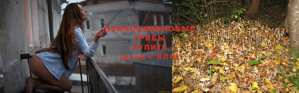 mdma Новозыбков