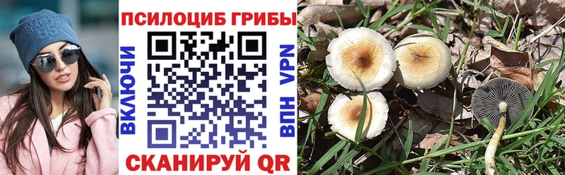 Галлюциногенные грибы прущие грибы  купить наркотики сайты  это как зайти  Хилок 